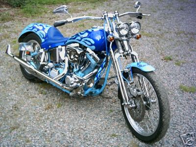 harley softail mien